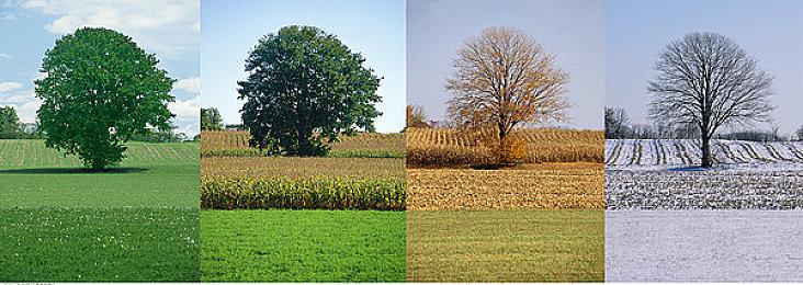 《最终幻想16》能在PS5强大的SSD下实现战斗与动画无缝切换